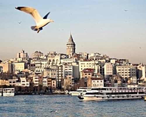 MERKEZ ADRES